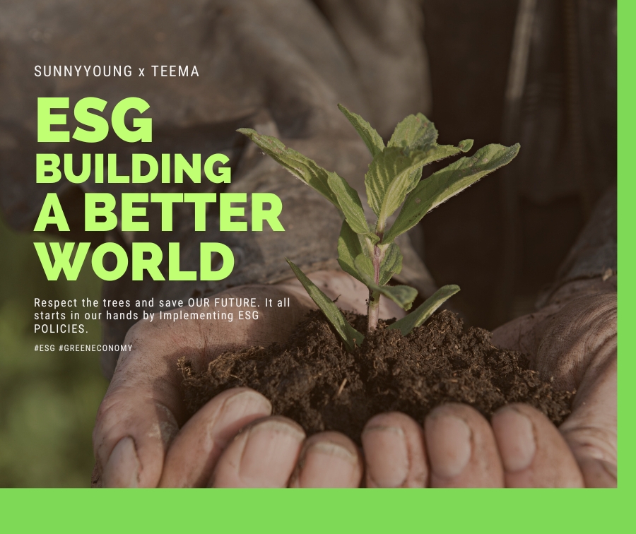 ESG是什麼? 為甚麼杉洋要重視? 帶您了解TEEMA低碳永續講習在說些什麼及未來發展