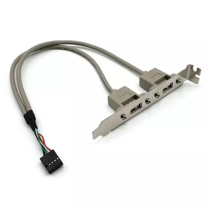 USB 2.0 Typ-A Buchse 2 Anschl&#xFC;sse auf 9P Stecker mit R&#xFC;ckwandhalterungskabel