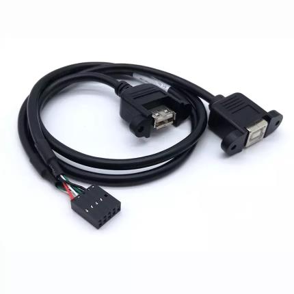 AF to BF USB 2.0 Cable with DuPont 9 Pin Panel-Mount Cable