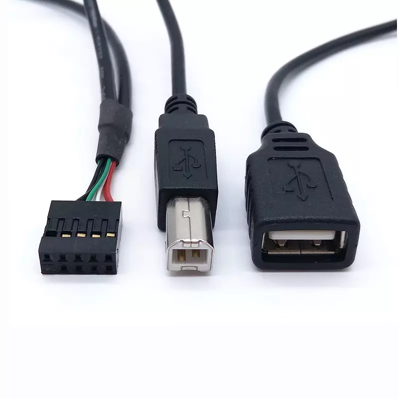 USB 2.0 Type A and Type B Female to 9P Header Extension Cable